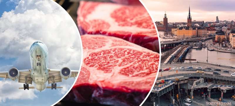 Sweden’s Path to Paris: Tech and Lifestyle Shifts for Climate Success