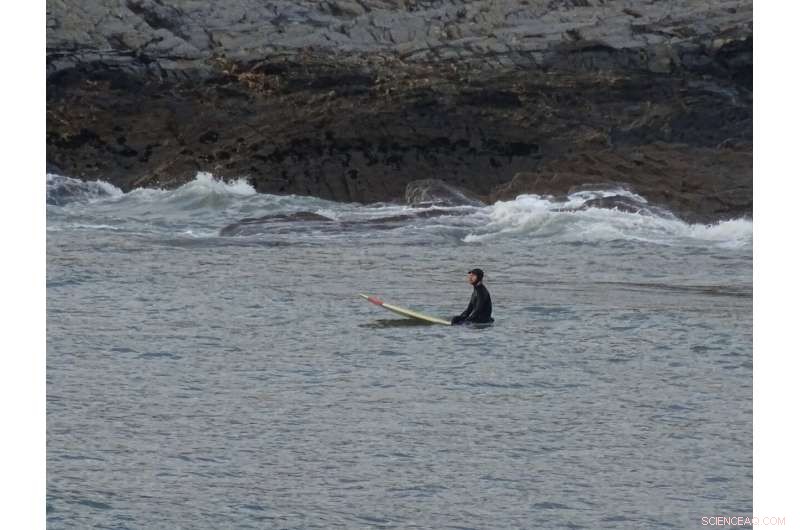 Surfboard Sampling Uncovers Microscopic Life in Ocean Surf Zone