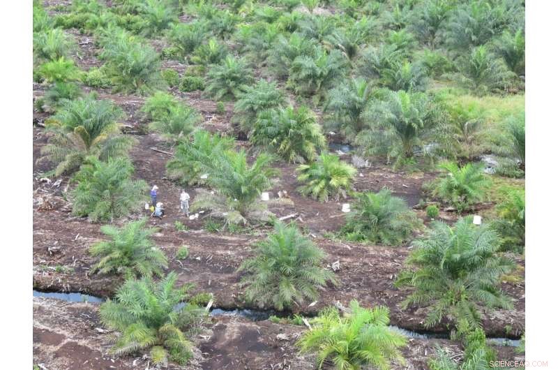 Microbes Fueling Climate Warming Thrive in Degrading Peatlands