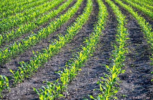 Iowa Farmland Under Threat: University Study Reveals Rising Flood Risks