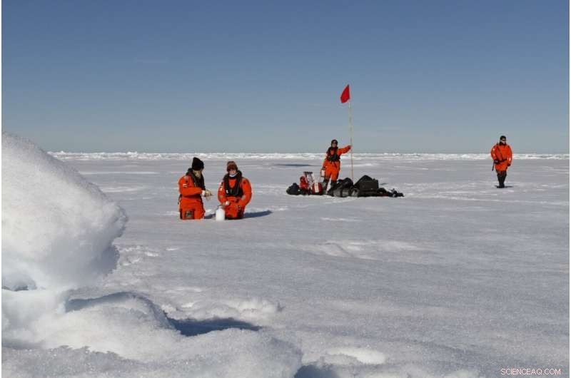 Arctic Seas Overrun by Global Plastic Pollution