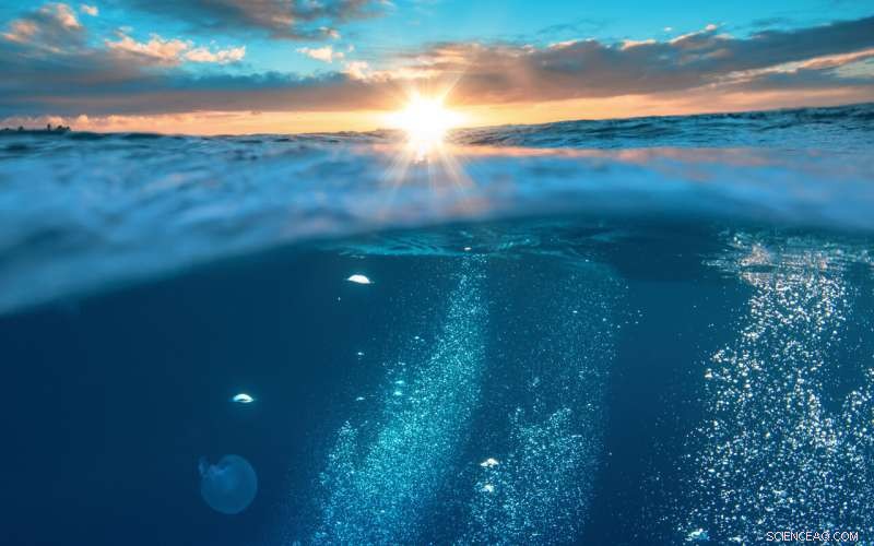 Revolutionizing Ocean Conservation: 3D Strategy to Protect High-Sea Biodiversity