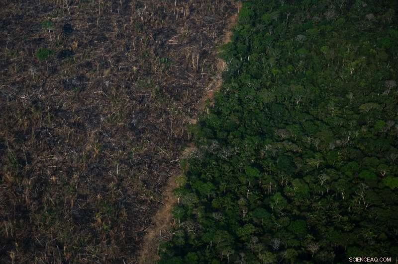 UN Urges Global CO₂ Capture from Air and Ocean to Meet Climate Targets