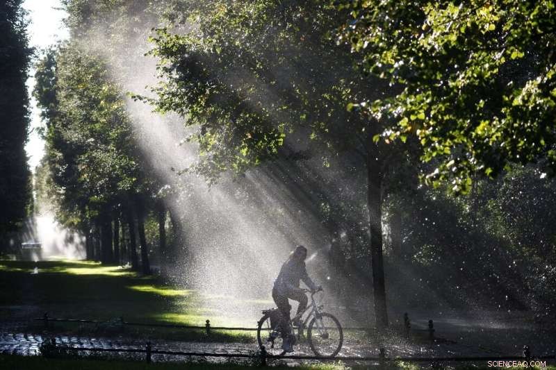 Compact, Green, Car‑Free Cities: A Powerful Strategy Against Climate Change