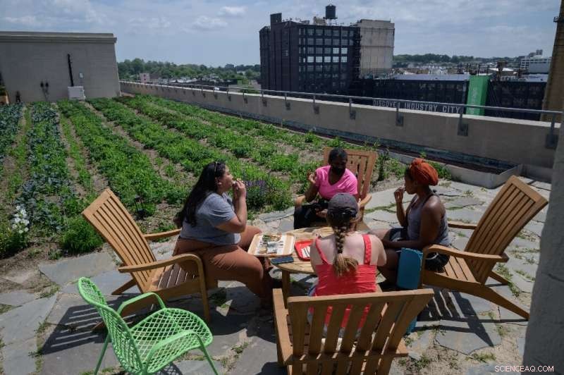 Compact, Green, Car‑Free Cities: A Powerful Strategy Against Climate Change