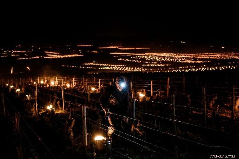 French Vineyards and Fruit Growers Battle Record Low April Temperatures