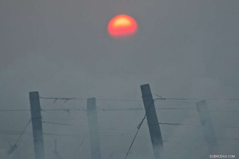 French Vineyards and Fruit Growers Battle Record Low April Temperatures