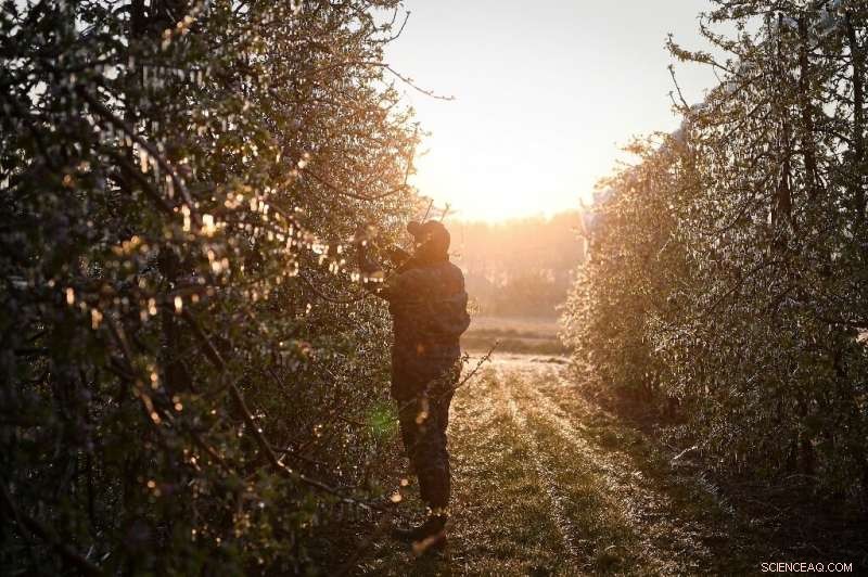 French Vineyards and Fruit Growers Battle Record Low April Temperatures