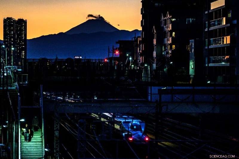 Reduce Flights, Choose Plant‑Based Foods, and Insulate Homes: Everyday Actions That Can Cut Emissions by 70% by 2050