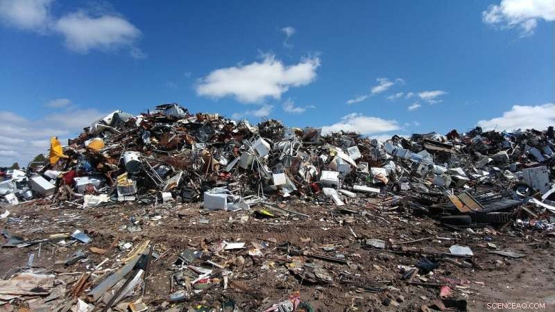 Global Review Highlights Alarming Risks of Hazardous Household Waste