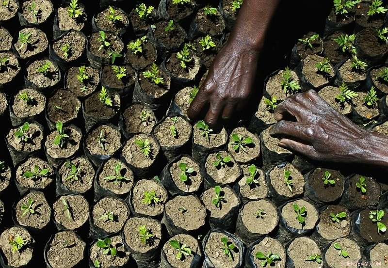 Beyond Reduction: The Essential Role of Air‑Captured CO2 in Climate Action