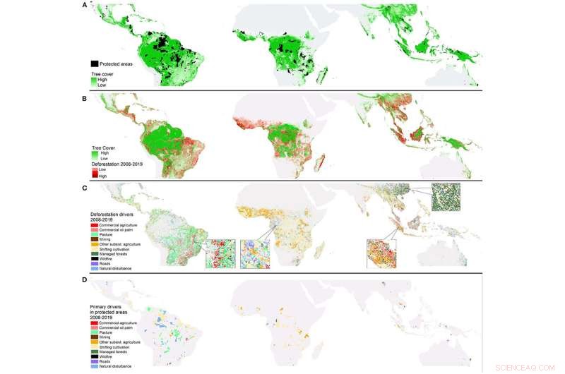 Crowdsourced Study Reveals Key Drivers Behind Tropical Forest Loss