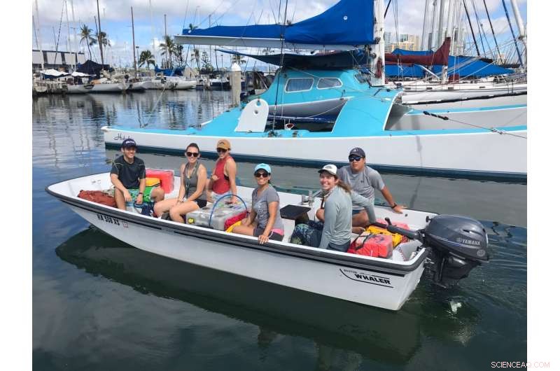 Advanced Sensor Modeling Enhances Prediction of Vibrio vulnificus in Ala Wai Canal, Hawaii