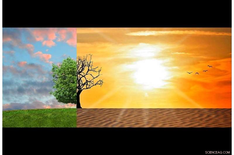 Transforming Food Systems: A Key Strategy to Combat Climate Change