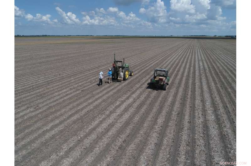 Advanced Estimation Method Boosts Accuracy of Soil Carbon Sampling in Agriculture