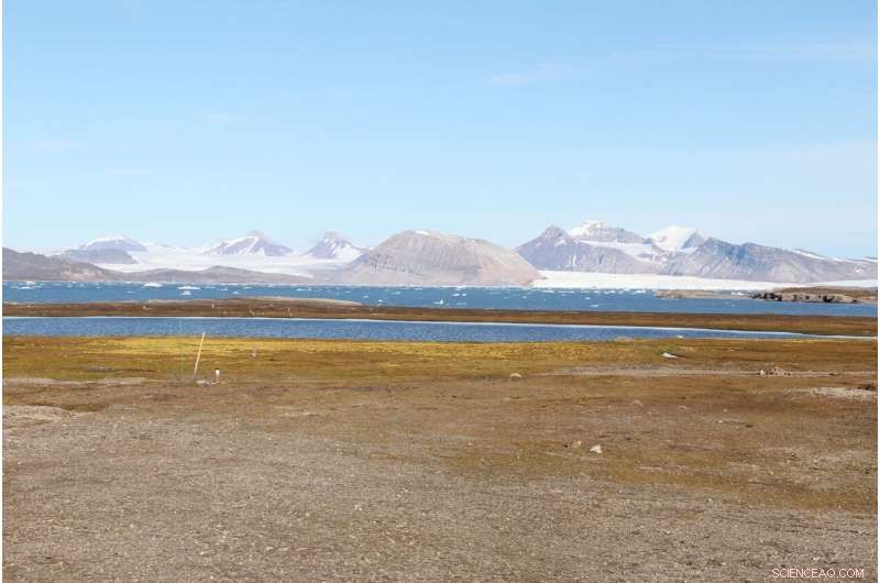 Marine Threats: Flame Retardants and Plasticizers Discovered in Oceans