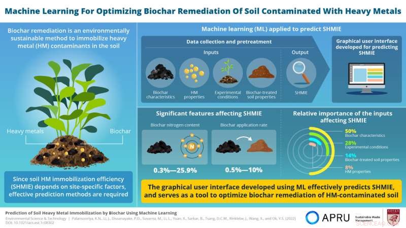 Machine Learning Optimizes Biochar Efficacy for Heavy Metal Soil Remediation