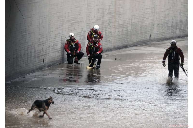 Two People and a Dog Rescued from Flooding River During California Storm