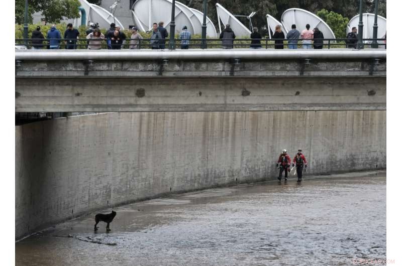 Two People and a Dog Rescued from Flooding River During California Storm