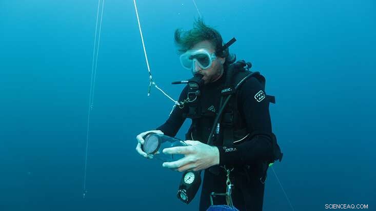 Tackling the Ocean Deoxygenation Crisis: Protecting Marine Life