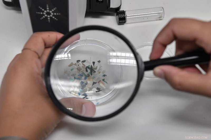 New Study Reveals Microplastics Detected in Human Blood for First Time
