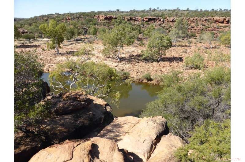 20 Years of Carbon Research Warns of a Critical Tipping Point in Ecosystems