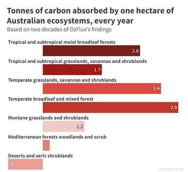 20 Years of Carbon Research Warns of a Critical Tipping Point in Ecosystems