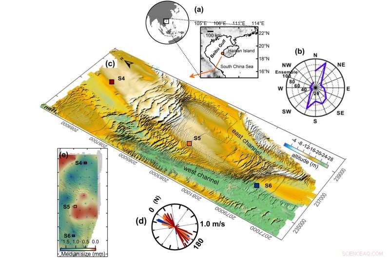 Monitoring Mobile Seafloor Dune Field Interactions