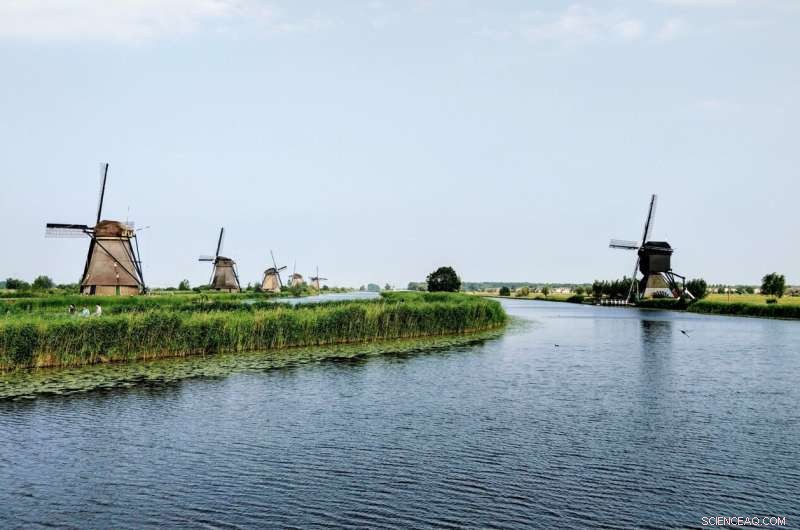 Urgent Conservation: Rapid Decline of Dutch Biodiversity Threatens the Environment