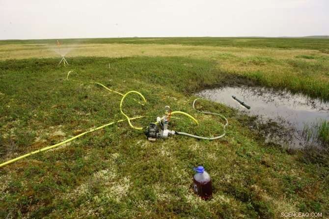 Arctic Permafrost Thaws Rapidly Amid Unprecedented Summer Rainfall, Study Finds