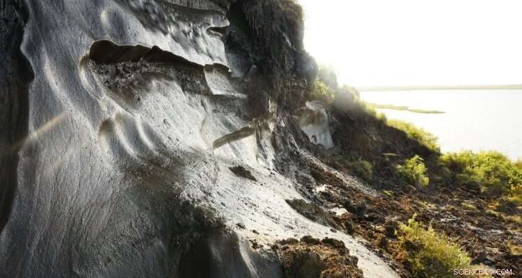 Arctic Permafrost Thaws Rapidly Amid Unprecedented Summer Rainfall, Study Finds