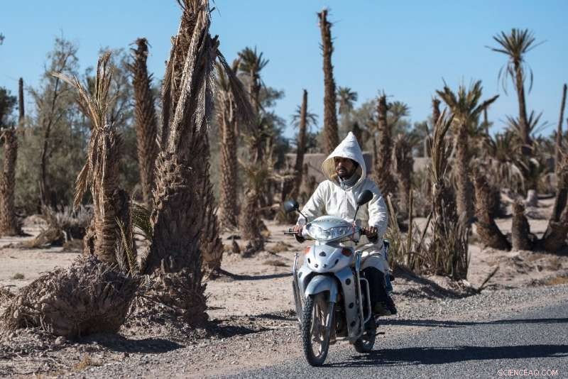 Morocco Faces Severe Water Shortage Amid Nation s Worst Drought Since the 1980s