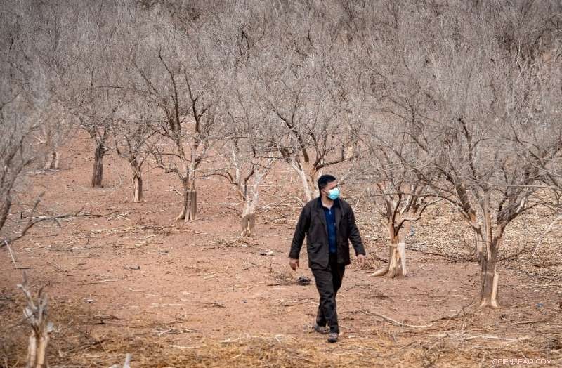 Morocco Faces Severe Water Shortage Amid Nation s Worst Drought Since the 1980s