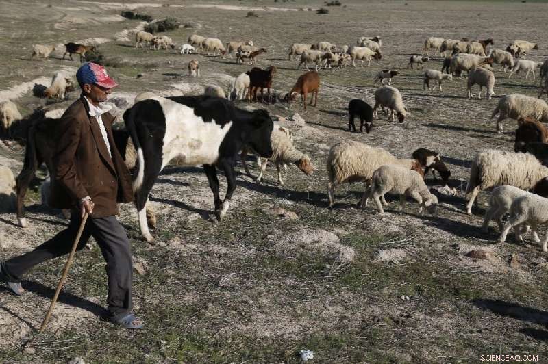 Morocco Faces Severe Water Shortage Amid Nation s Worst Drought Since the 1980s