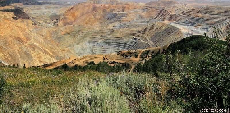 Why Mining Supports Carbon Taxation: A Strong Economic Argument