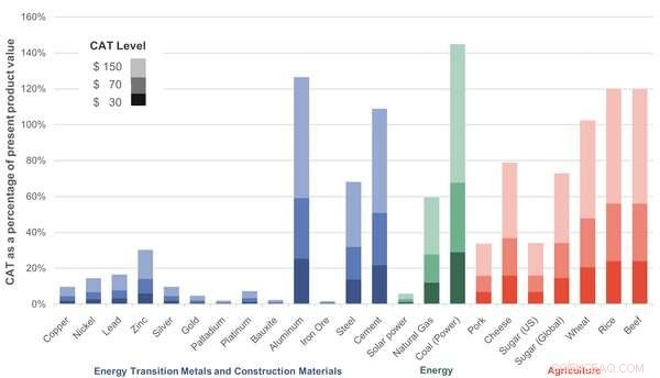 Why Mining Supports Carbon Taxation: A Strong Economic Argument