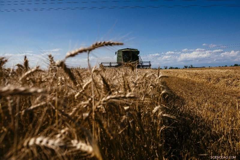 EU Green Farming Plan Hobbled by Ukraine War