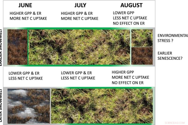 Earlier Spring Threatens Arctic Tundra’s Carbon Storage, New Study Finds