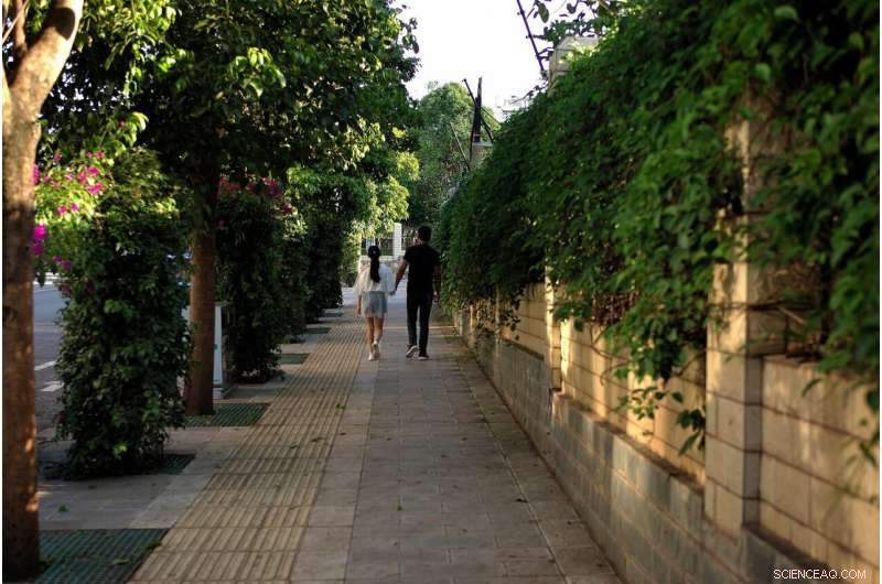 Medium-Density Housing Drives 30% Decline in Australian Suburban Trees