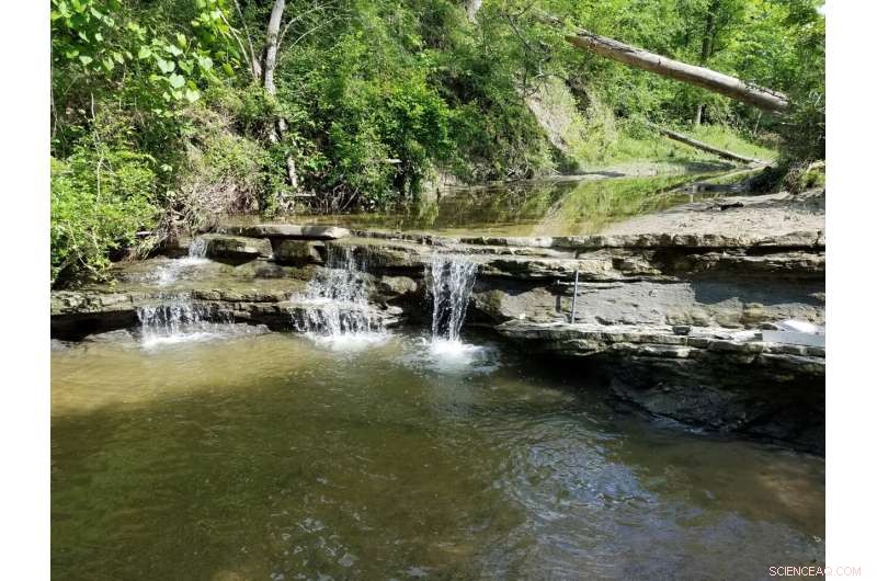 Chicxulub Impact: Stratospheric Sulfur Amplified Climate Change, Driving Mass Extinction