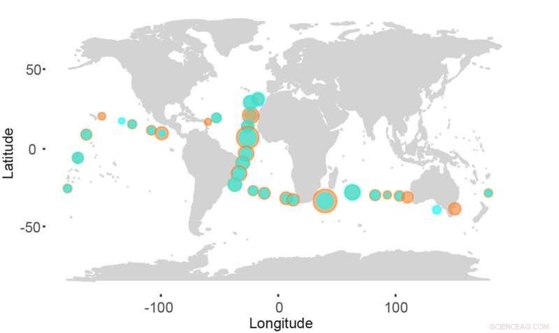 Global Distribution of Methylmercury‑Detoxifying Bacteria in Oceanic Regions