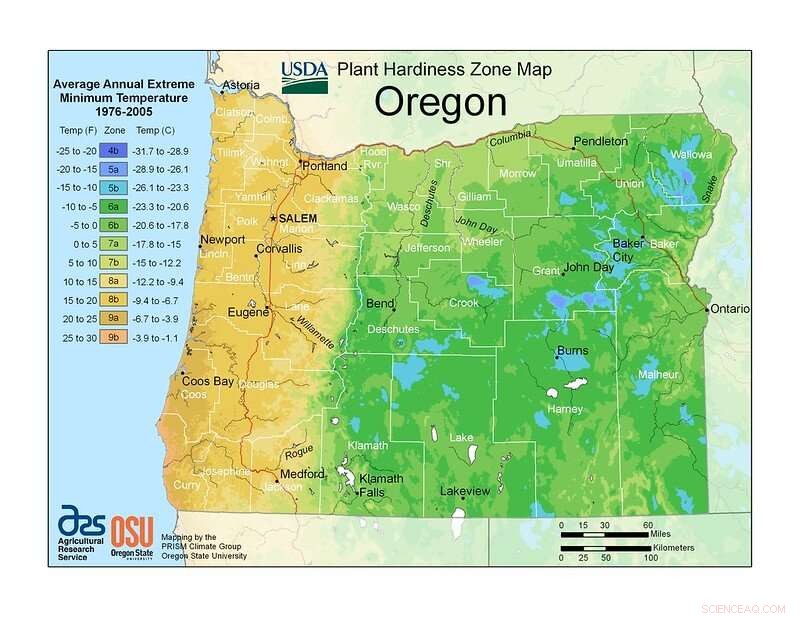 Climate Change Alters Plant Hardiness Zones: A Guide for Gardeners