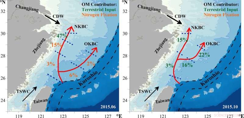 Kuroshio Intrusion and Terrestrial Inputs: Key Drivers of Hypoxia in the East China Sea