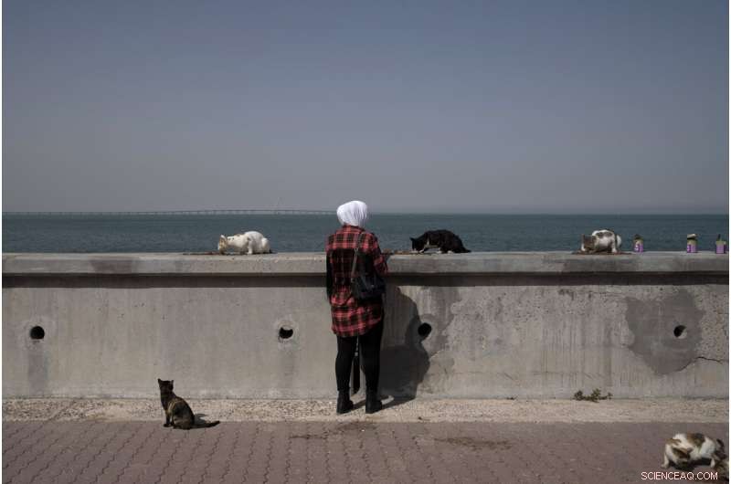 Kuwait, a Global Climate Hotspot, Lags Behind in Action