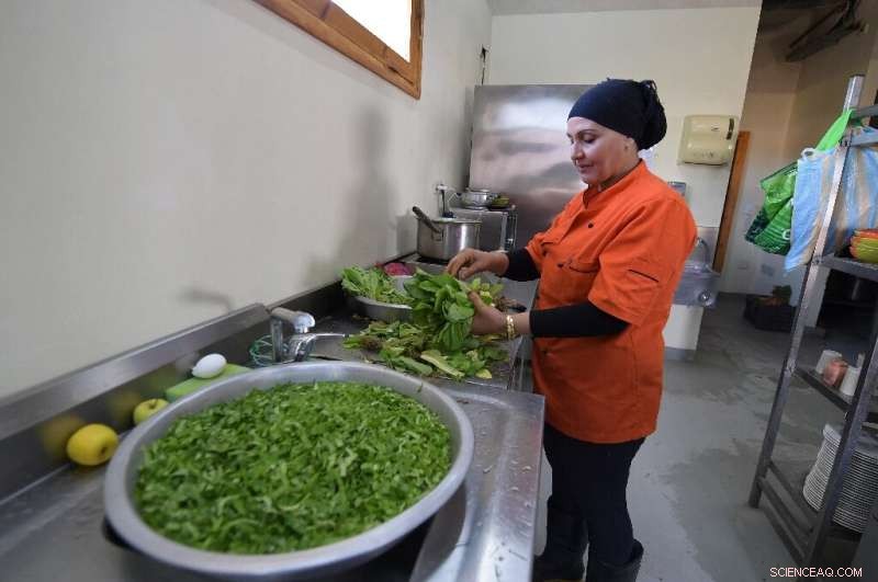 Tunisian Eco-Pioneers Revive Desert Oasis with Sustainable Projects