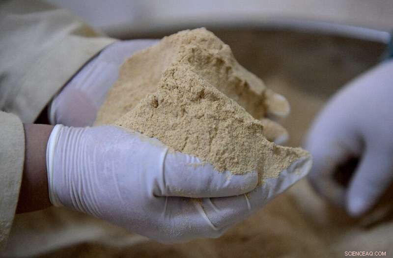 Tunisian Eco-Pioneers Revive Desert Oasis with Sustainable Projects