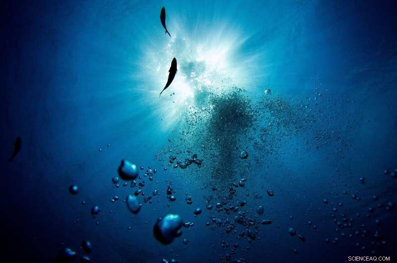 Chilean Expedition Uncovers Microbial Life in 8,000‑M Deep Atacama Trench