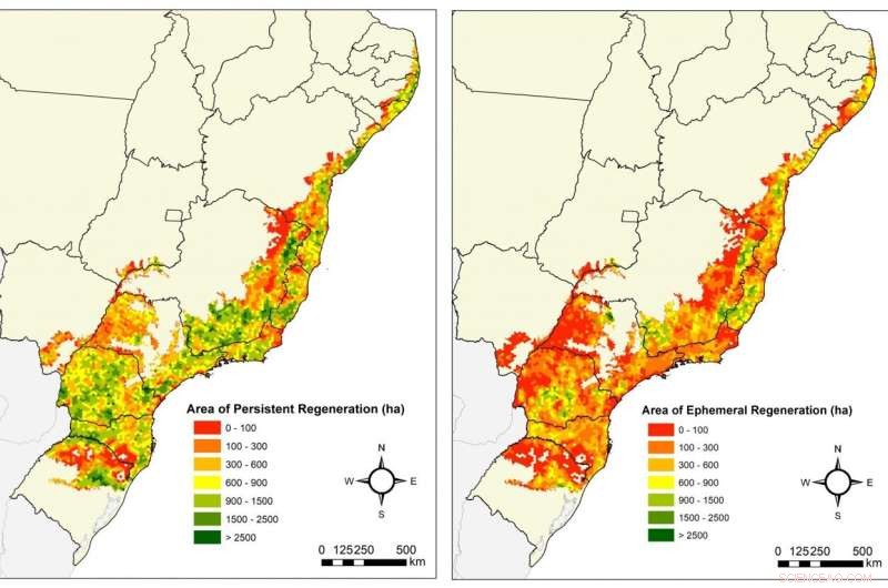 New Study Finds Regrown Tropical Forests Have Limited Lifespan