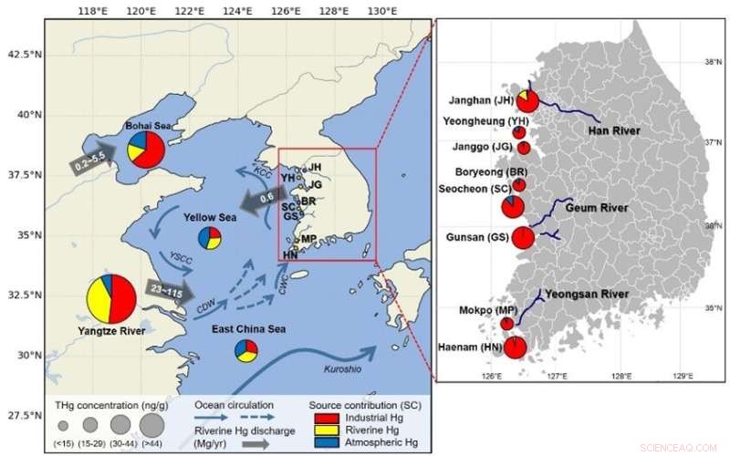 Industrial Discharge Dominates Mercury Pollution on Korea’s West Coast