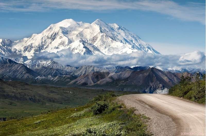 Court Approves Road Extension Through Izembek National Wildlife Refuge in Alaska